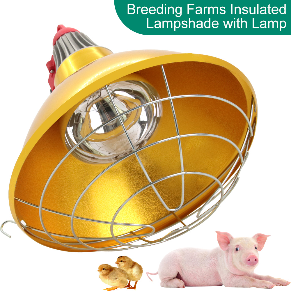 Farming Equipment For Agriculture - Gado porco brood mais quente lâmpada