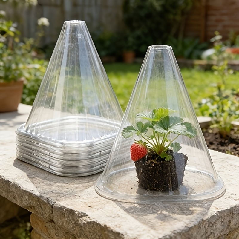 55 Protetores de Plantas Reuti - Greenhouse Plastic Film avaliação e preço