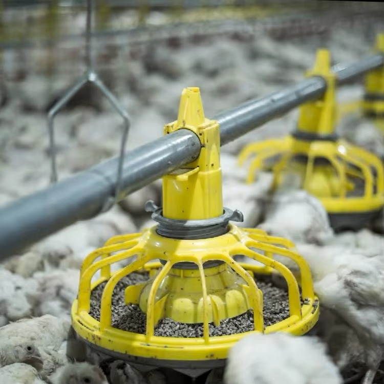 Equipamento agrícola de frango - Farming Equipment For Agriculture avaliação e preço