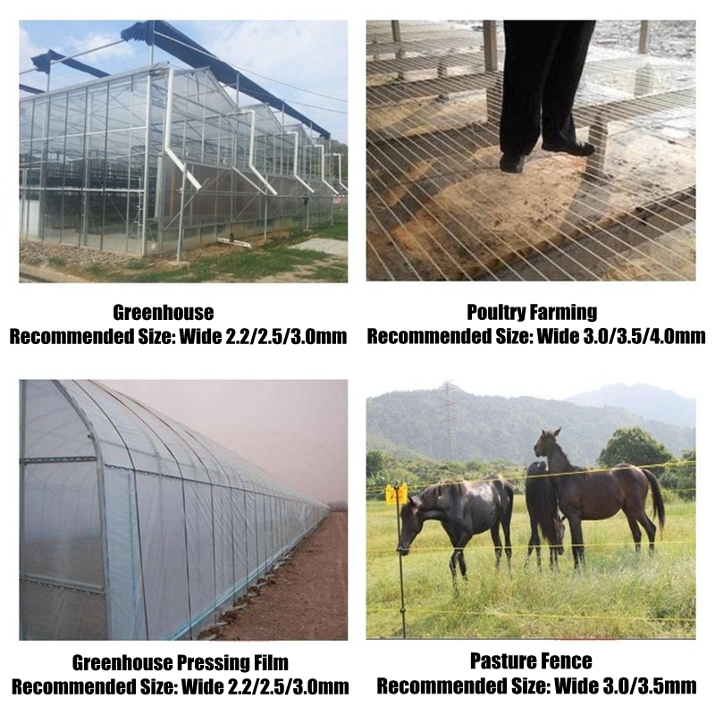 Fio de Aço Plástico de 50m par - Greenhouse Plastic Film avaliação e preço