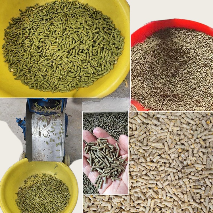 Máquina Peletizadora para Raçã - Wood Pellet Making Machine avaliação e preço