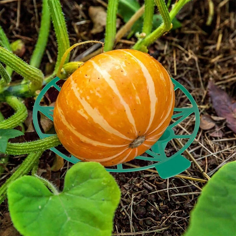 Suporte de melancia para estuf - Greenhouse Plastic Film avaliação e preço