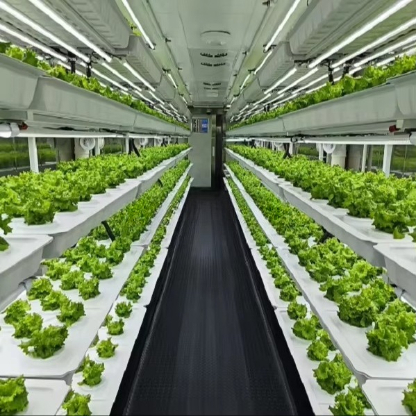 Sistema de Cultivo de Vegetais - Farming System & Sustainable Agriculture avaliação e preço